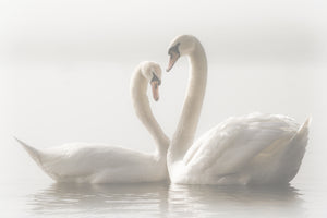 poster-print-forever-2
