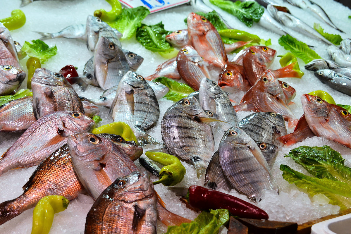 framedcanvas-print-raw-fish