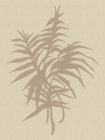 acrylic-print-plant-neutral