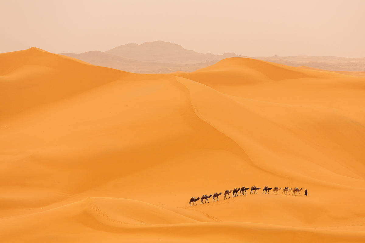 framedposter-print-camels-caravan-in-sahara-x