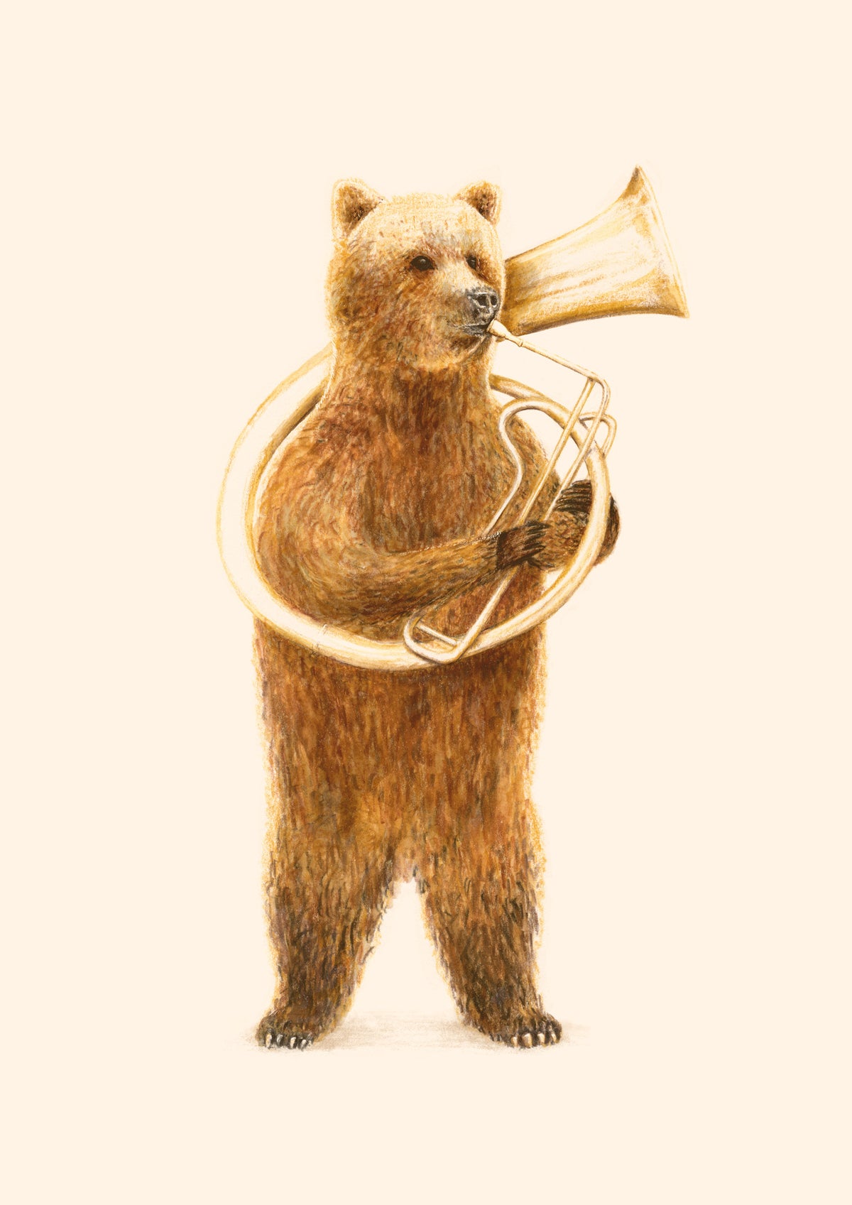 canvas-print-the-bear-and-his-helicon