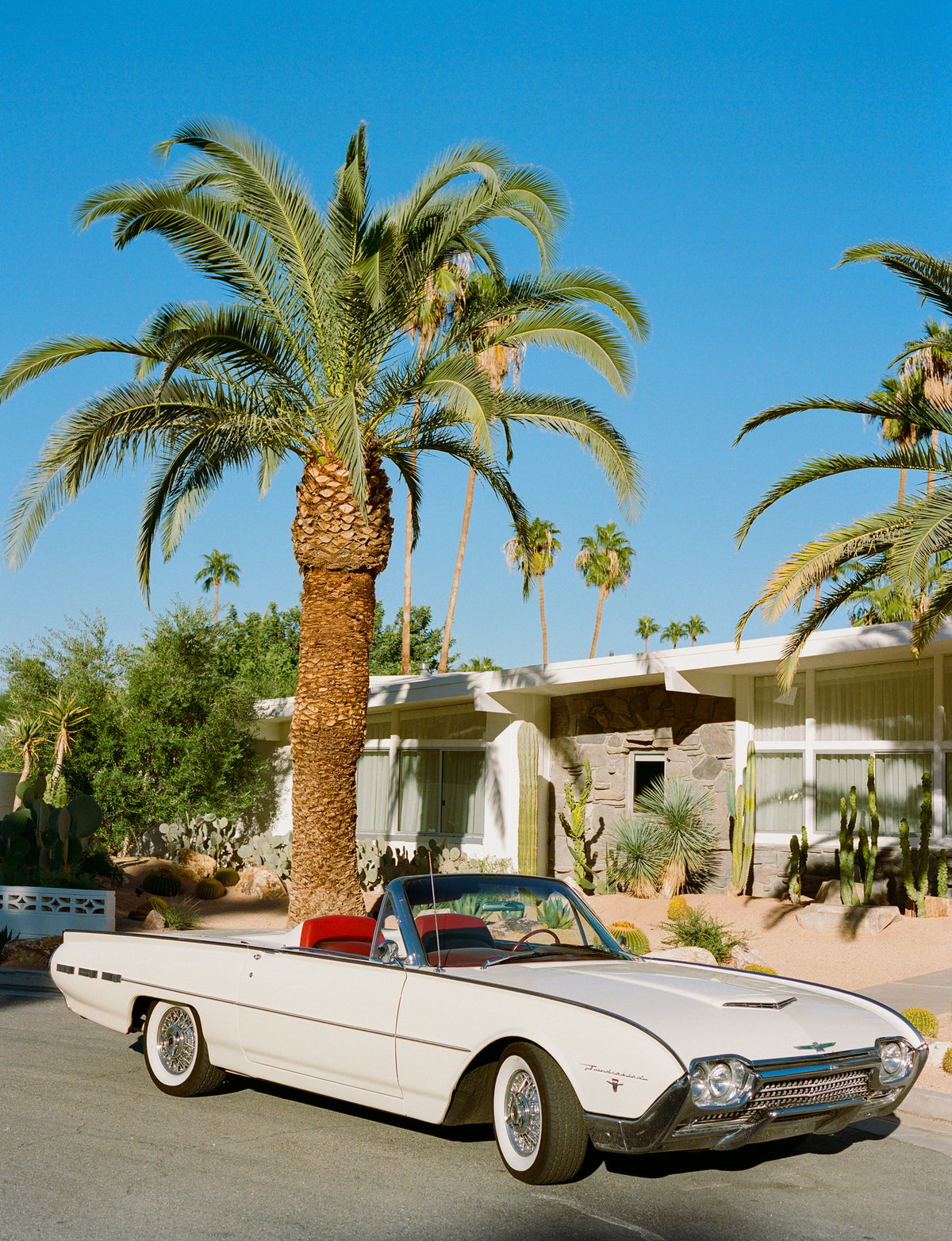 framedposter-print-palm-springs-thunderbird