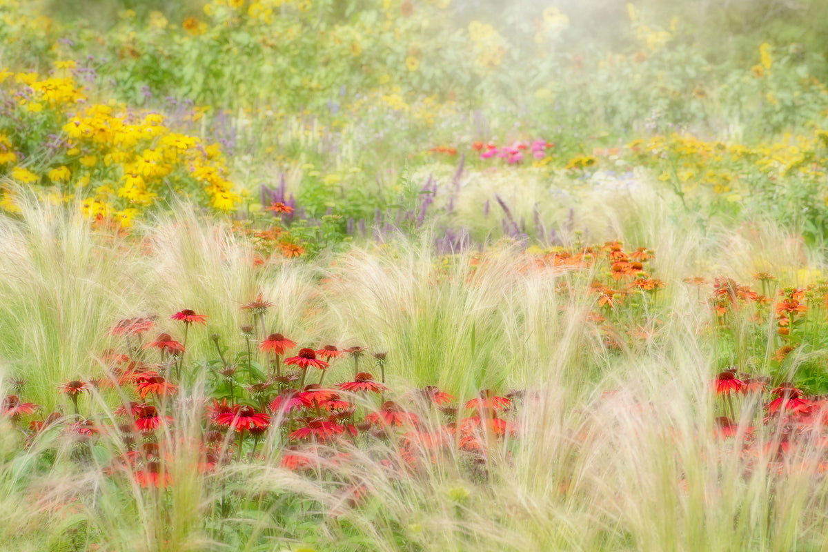 aluminium-print-summer-reverie-x