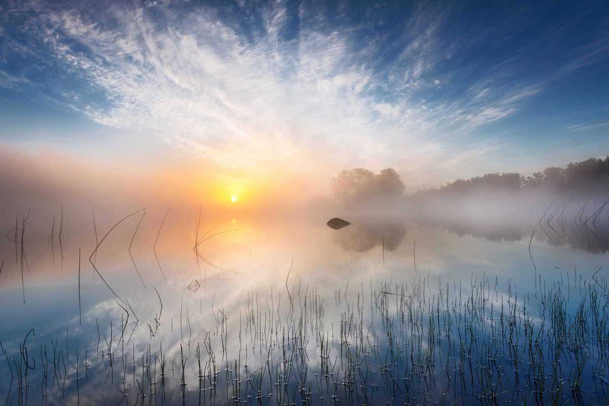 framedposter-print-reflection