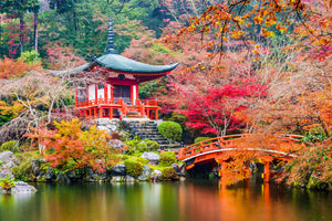 poster-print-daigoji-temple-in-the-fall