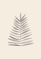 framedposter-print-palm-leaf-ink