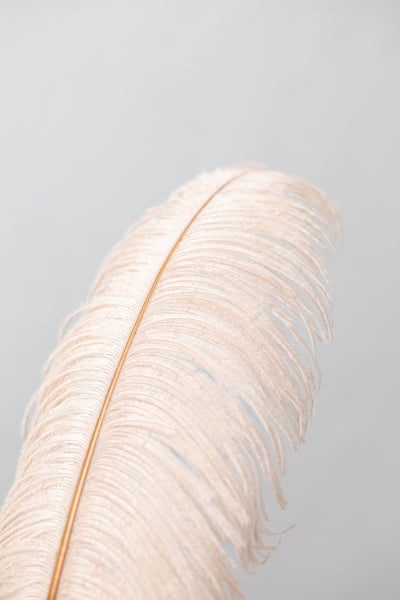 poster-print-feather-1