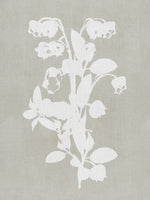 poster-print-botanical-illustration-4