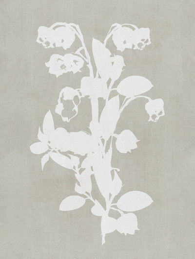 poster-print-botanical-illustration-4