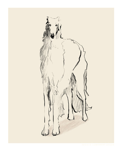 poster-print-borzoi-russian-wolfhound-pandc