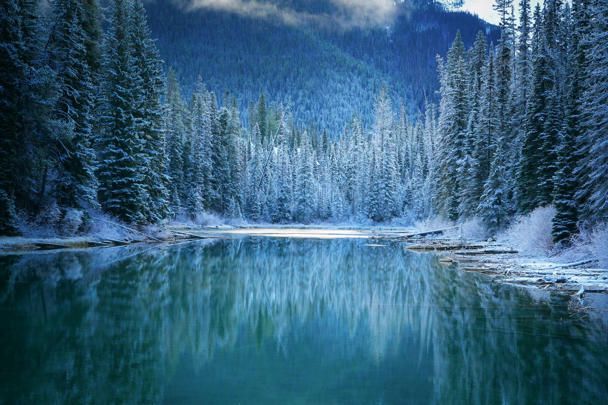 canvas-print-wonder-winter-land-x