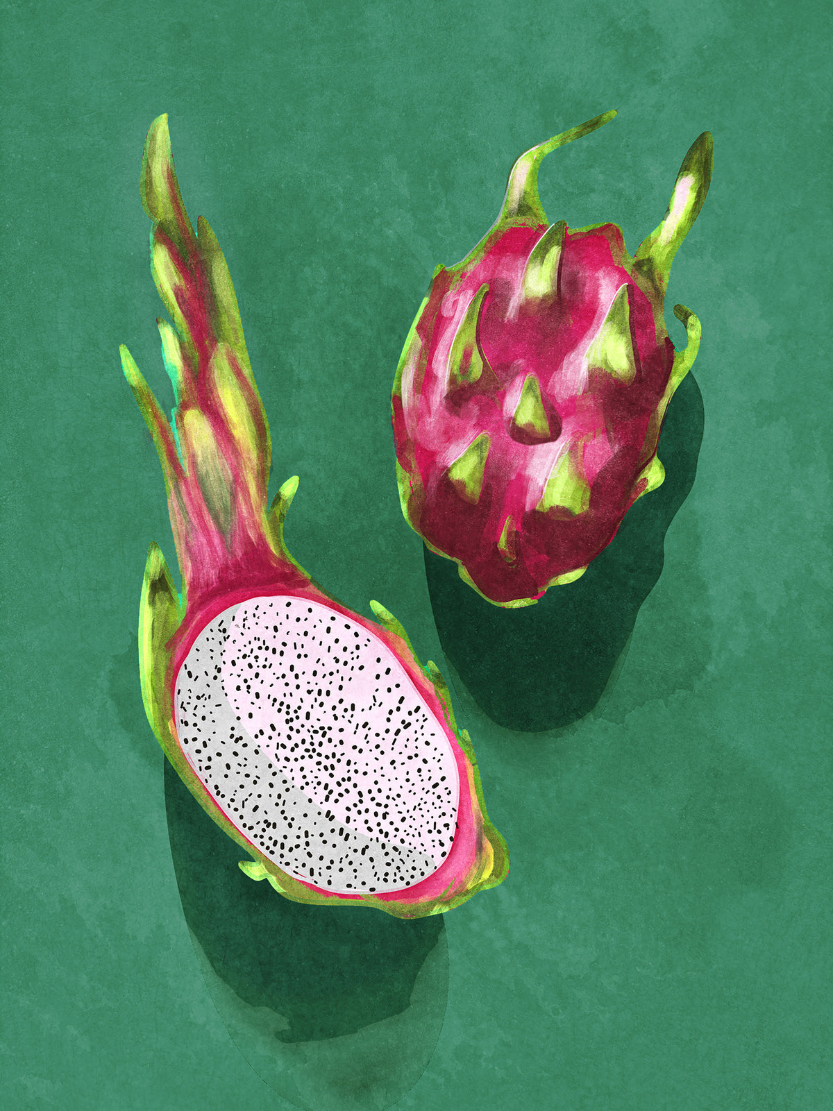 poster-print-dragonfruit