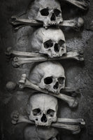 canvas-print-skulls