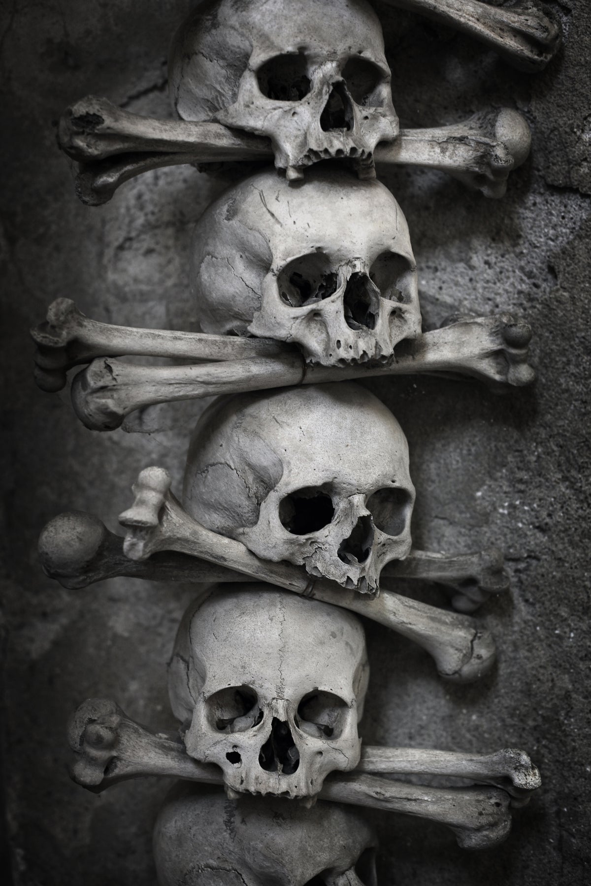 canvas-print-skulls