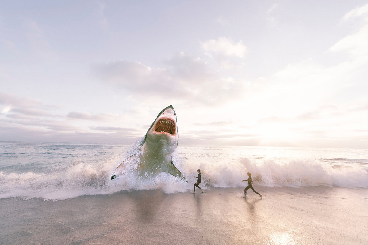 framedposter-print-beware-shark