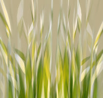 canvas-print-dancing-reed