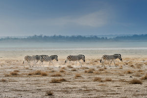 framedposter-print-promenade