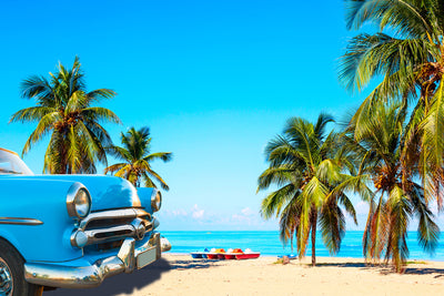 poster-print-caribbean-dreams-on-the-horizon