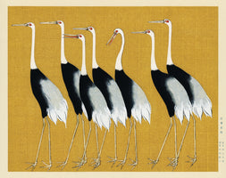 acrylic-print-japanese-red-crown-crane