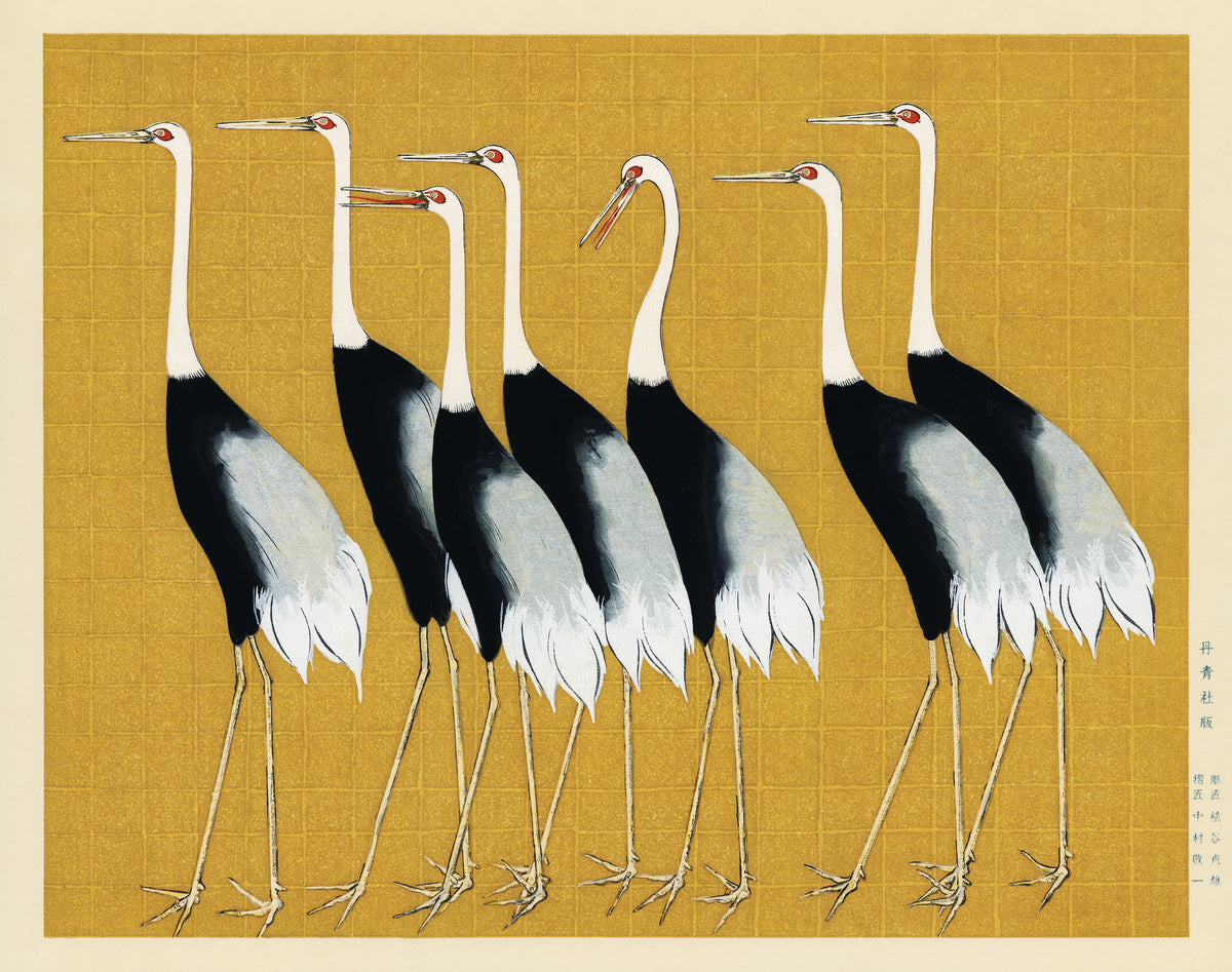 acrylic-print-japanese-red-crown-crane