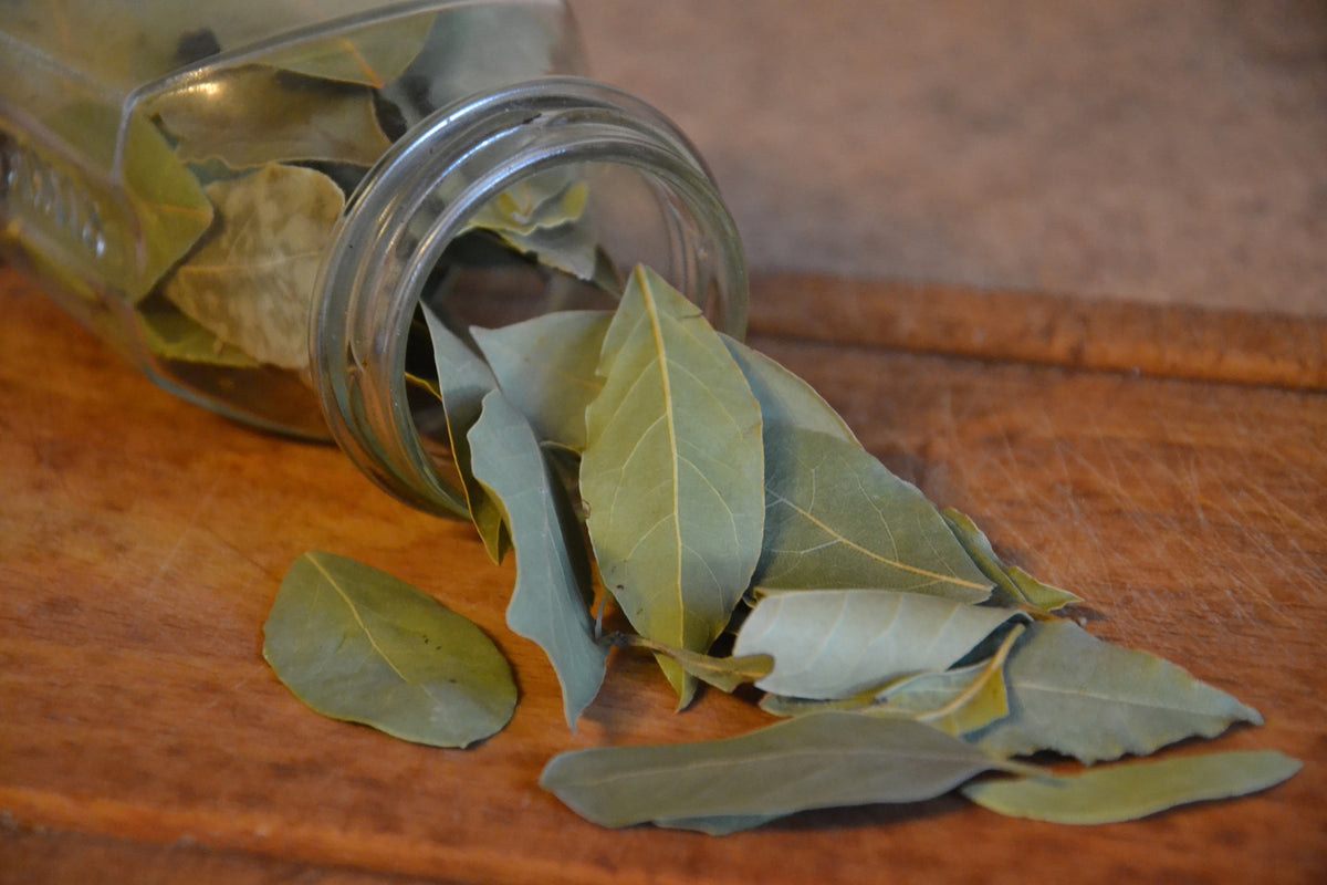 canvas-print-bay-leaves
