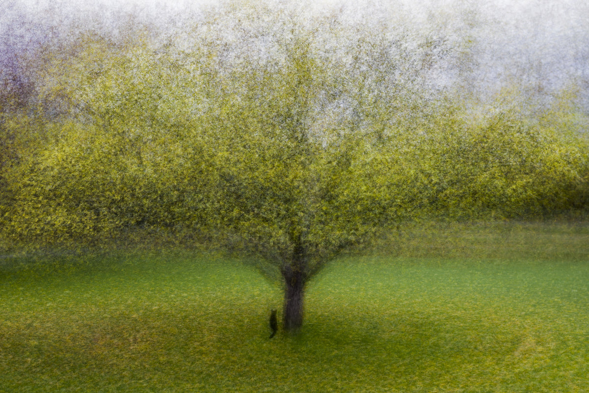 poster-print-the-cat-by-the-tree