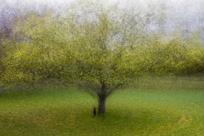 poster-print-the-cat-by-the-tree