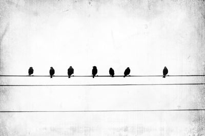 poster-print-sheet-music