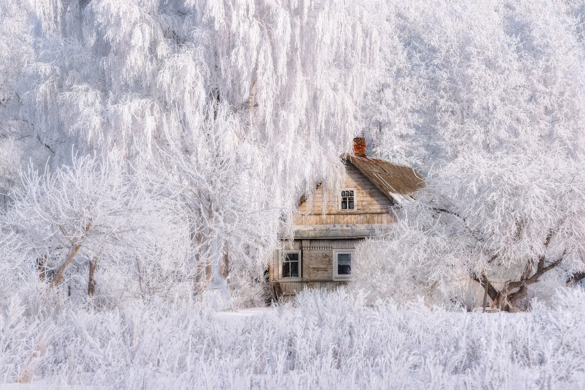 framedcanvas-print-winter-tale-x