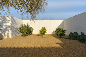 3-piece-canvas-print-casadavolta