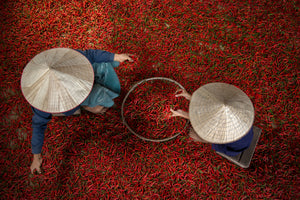 framedposter-print-chilli