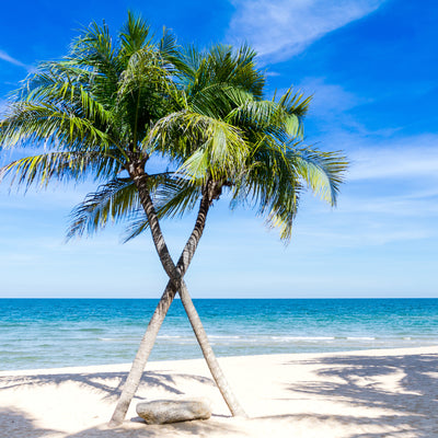 poster-print-dream-beach-caribbean