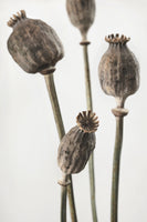 canvas-print-dried-006