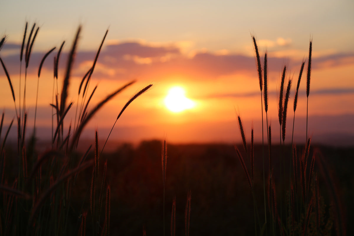 3-piece-aluminium-print-adorable-sunset
