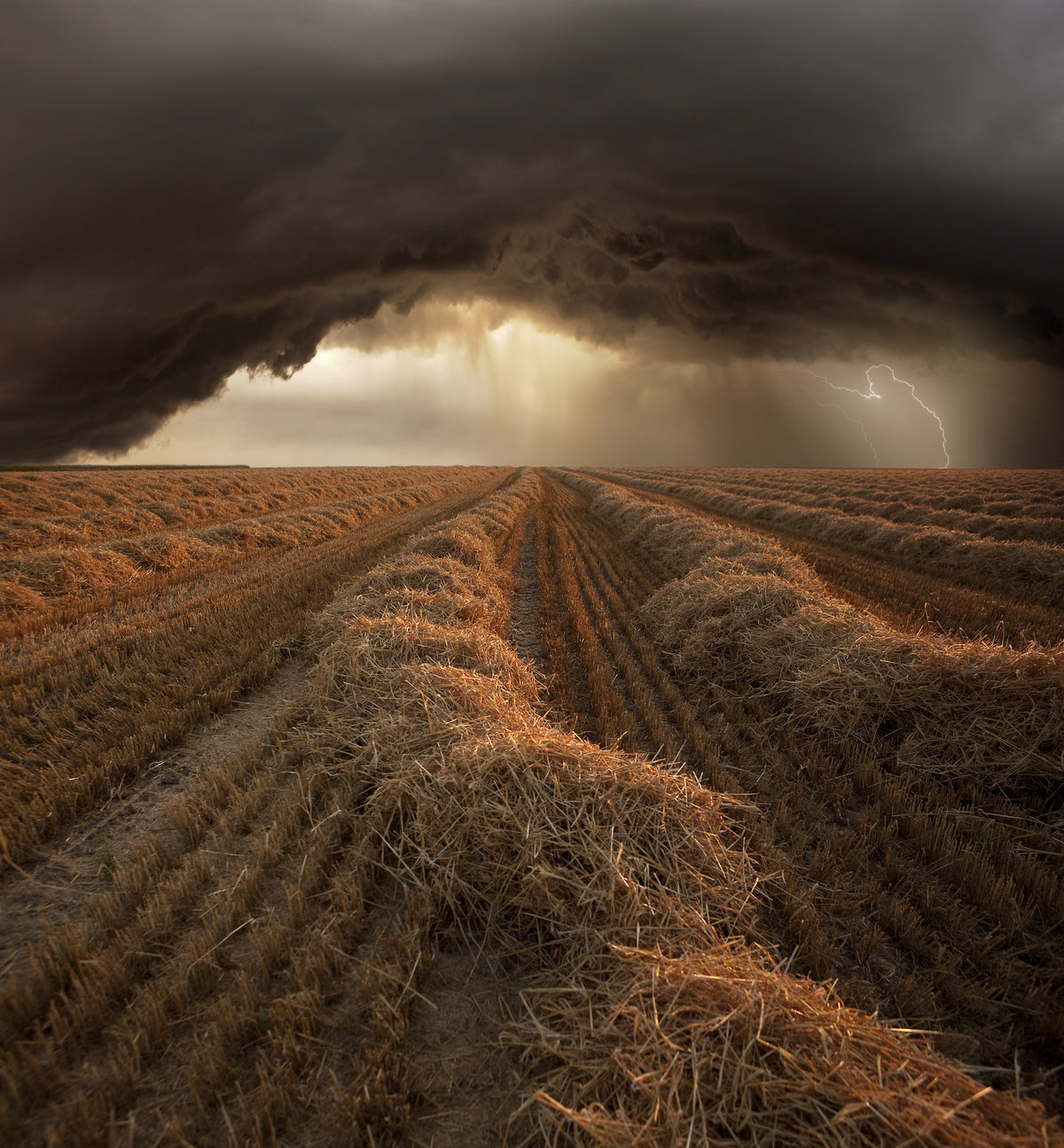 4-piece-canvas-print-forces-of-nature
