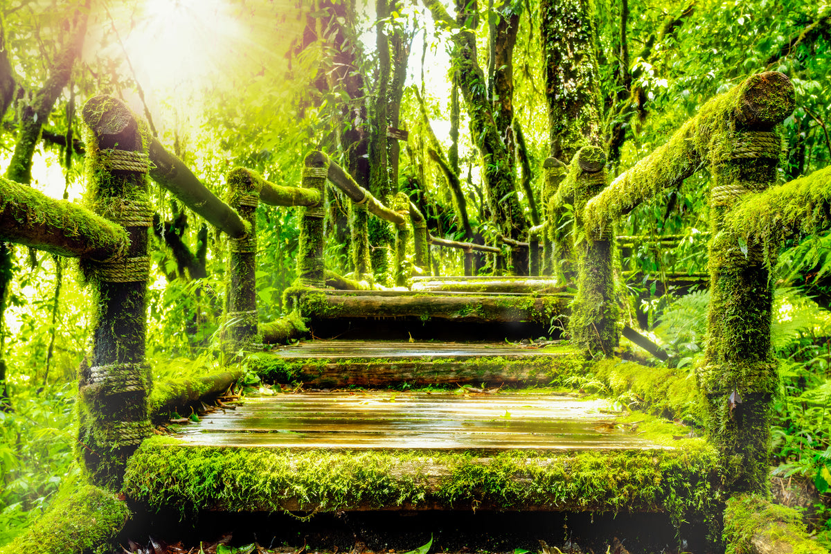 poster-print-moss