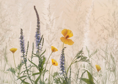 poster-print-dreaming-of-flowers-2