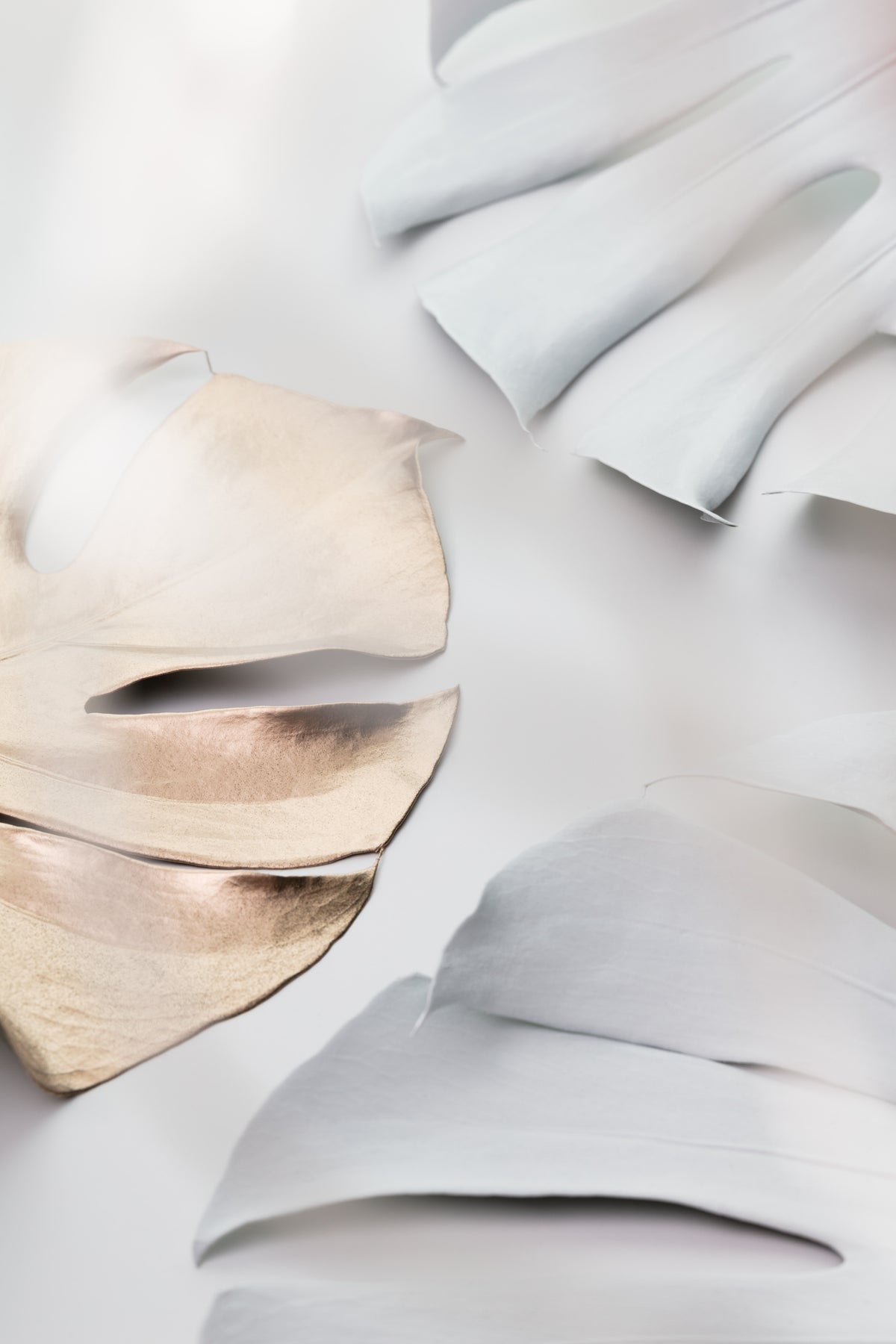 aluminium-print-monstera-mix-02