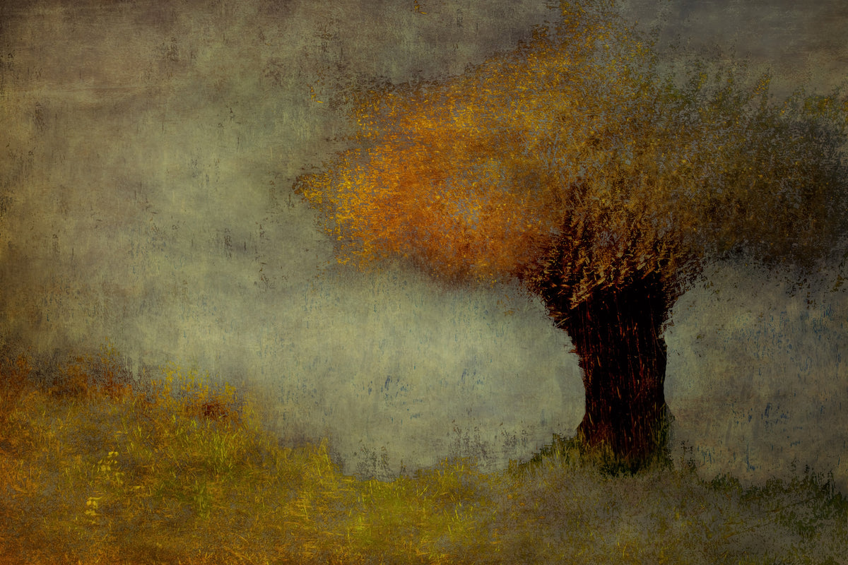 framedcanvas-print-willow