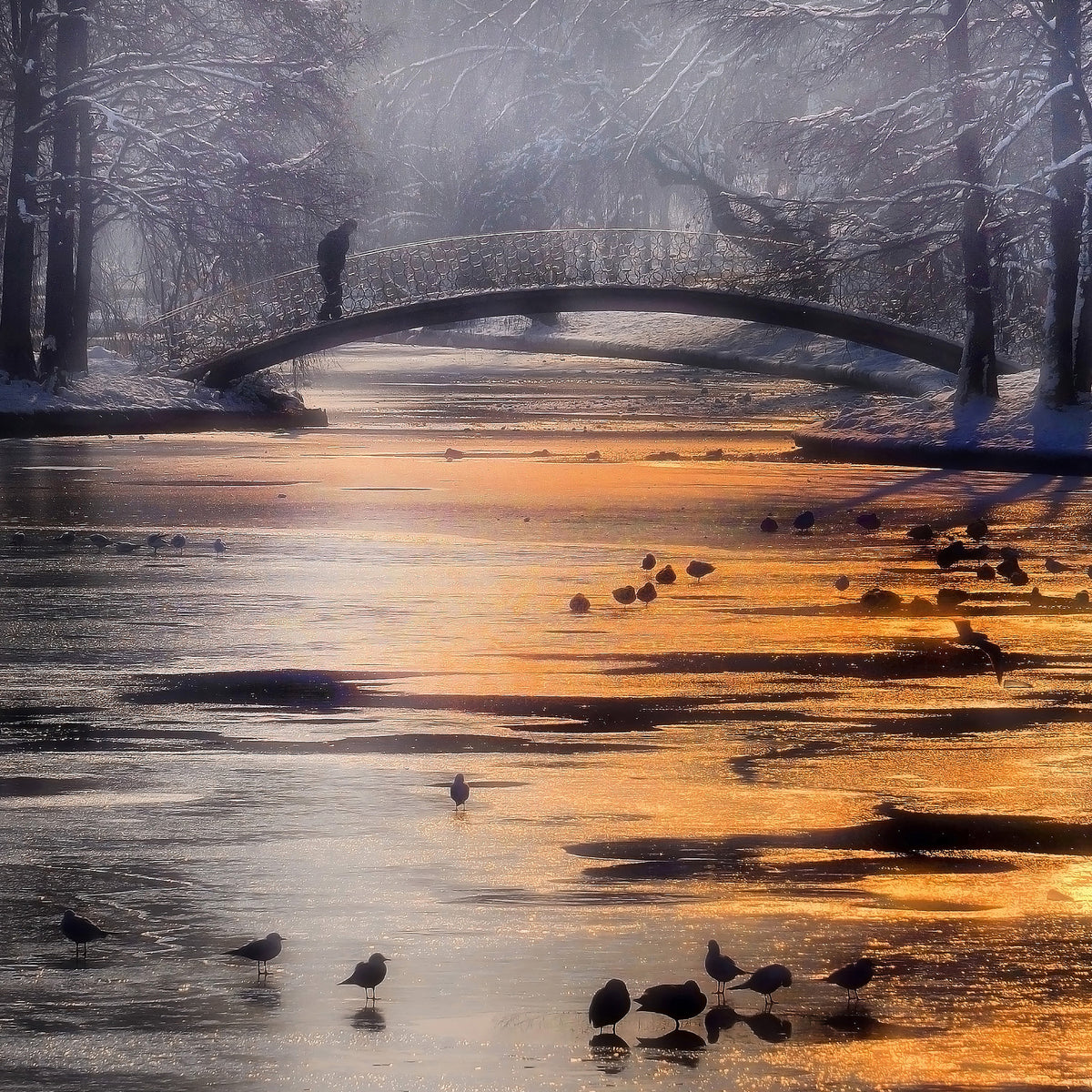 acrylic-print-frozen-lake-x