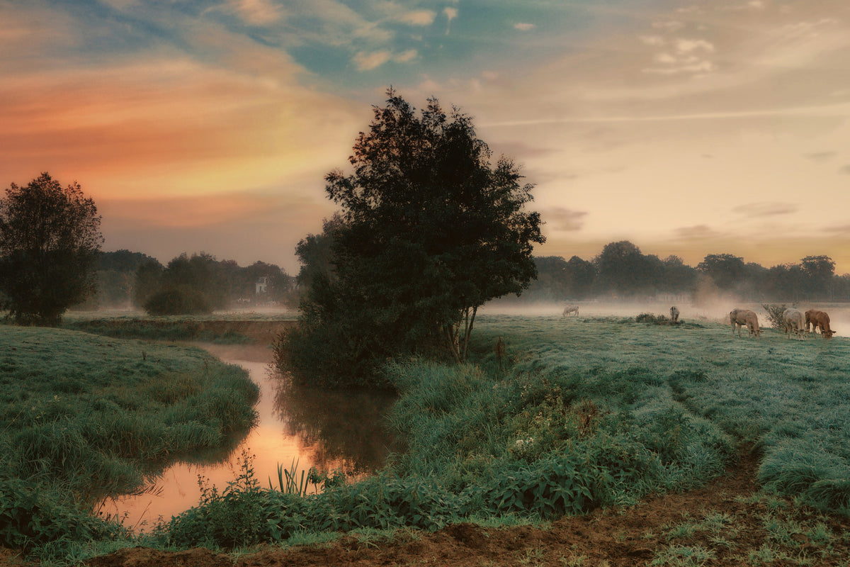acrylic-print-foggy-dream-x