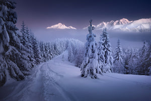 framedcanvas-print-in-the-winter-x