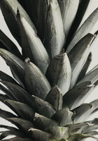 canvas-print-pineapple-close-up