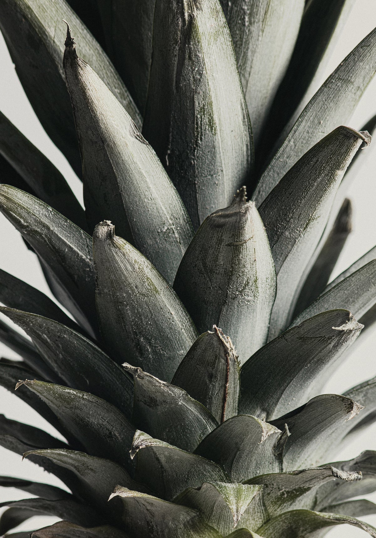 canvas-print-pineapple-close-up