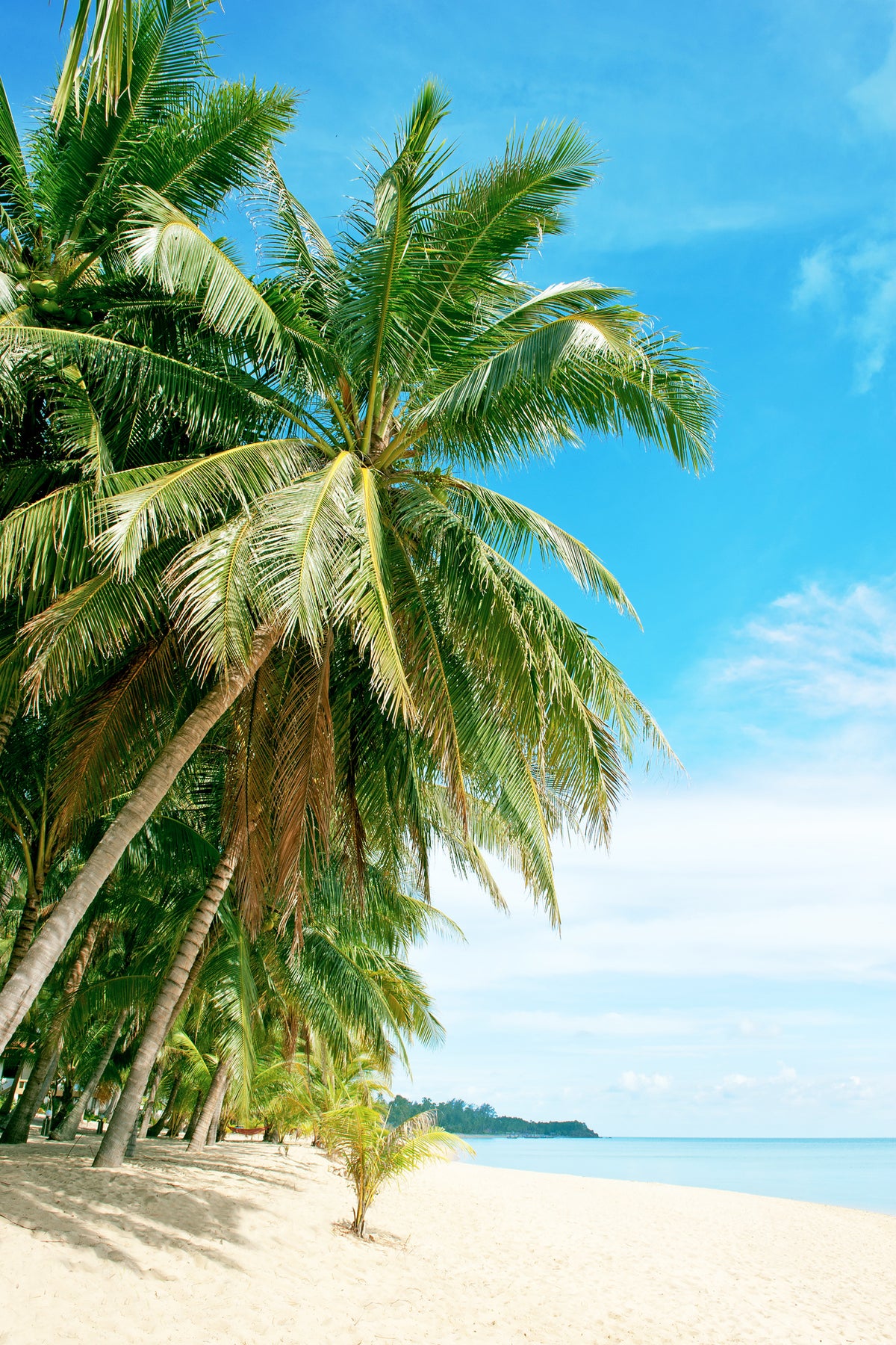 framedposter-print-a-island-dream