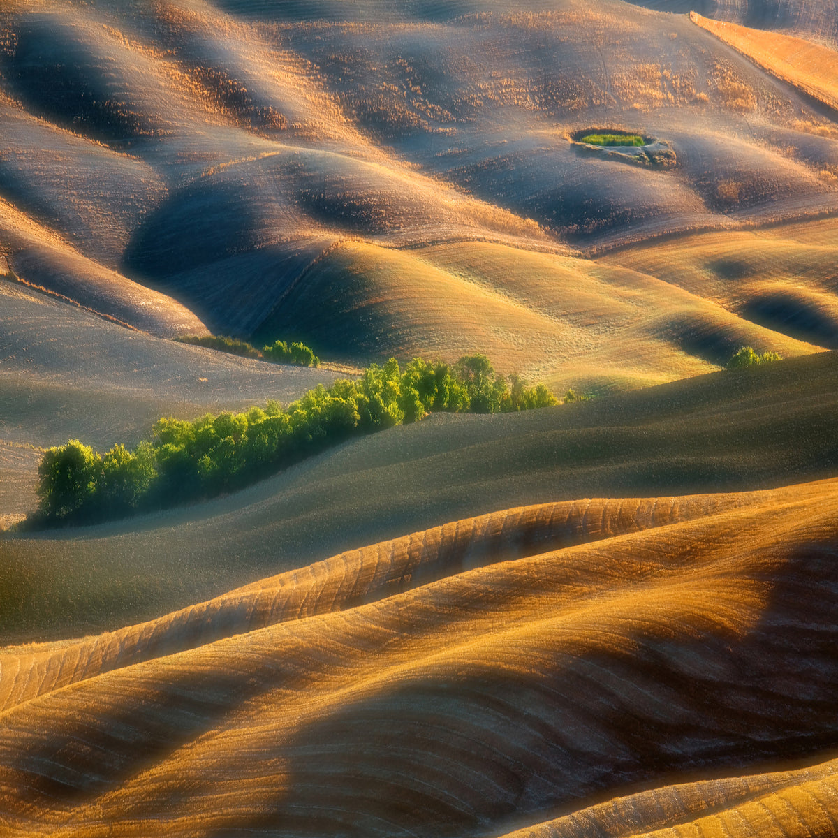 canvas-print-fields-xlk