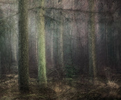 canvas-print-larch