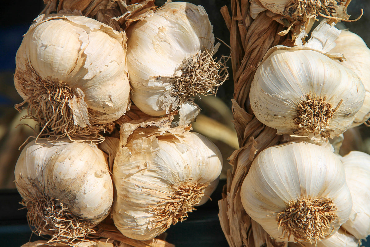 3-piece-acrylic-print-the-garlic-xl
