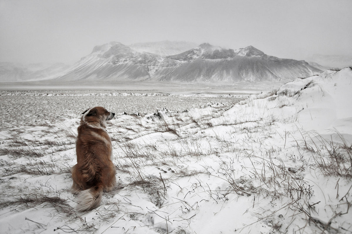 framedcanvas-print-snowstorm-x