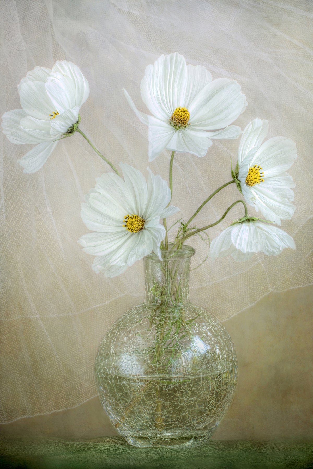 framedcanvas-print-cosmos-breeze